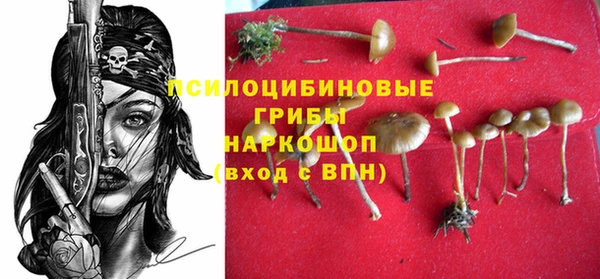 шишки Беломорск