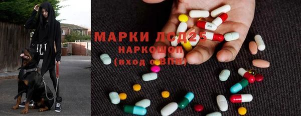 шишки Беломорск