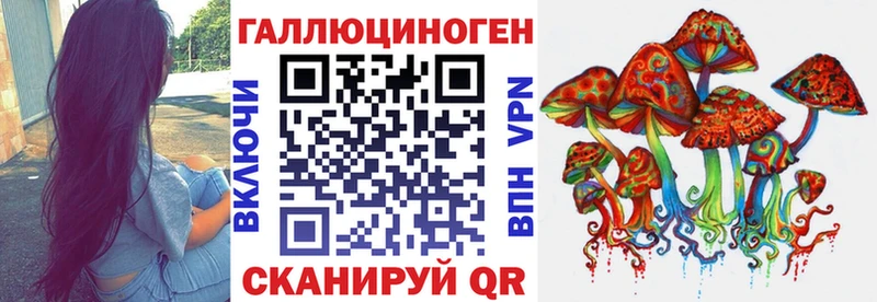 Купить  Губкин  Галлюциногенные грибы Magic Shrooms 